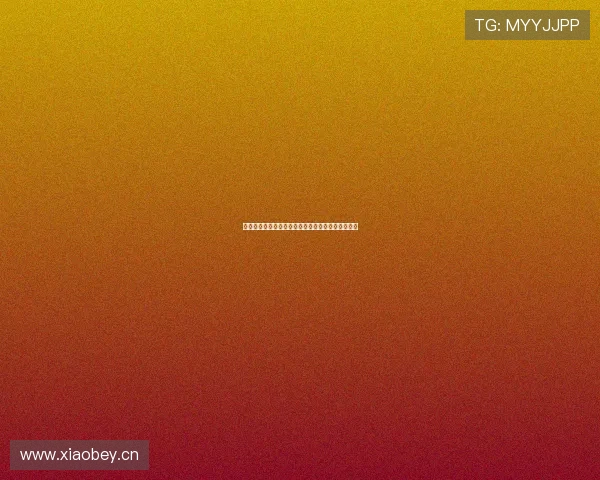 闪电接单官网下载安装指南，快速开启高效接单之路